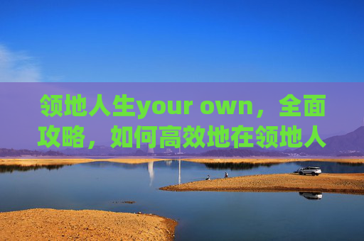 领地人生your own,全面攻略,如何高效地在领地人生中成长与探索 领地人生your own,全面攻略,如何高效地在领地人生中成长与探索