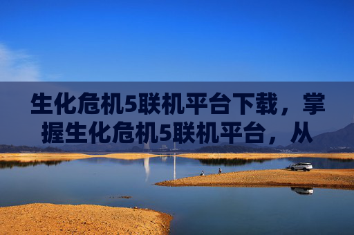 生化危机5联机平台下载，掌握生化危机5联机平台，从新手到高手的全面攻略