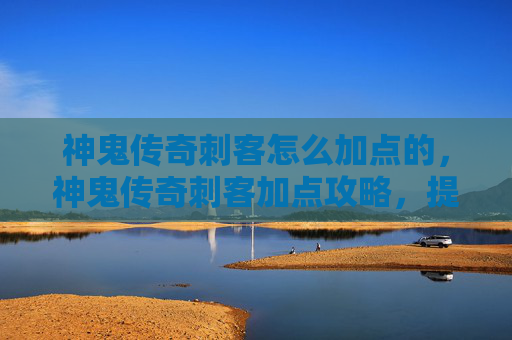 神鬼传奇刺客怎么加点的,神鬼传奇刺客加点攻略,提升战斗效率的秘诀 神鬼传奇刺客怎么加点的,神鬼传奇刺客加点攻略,提升战斗效率的秘诀