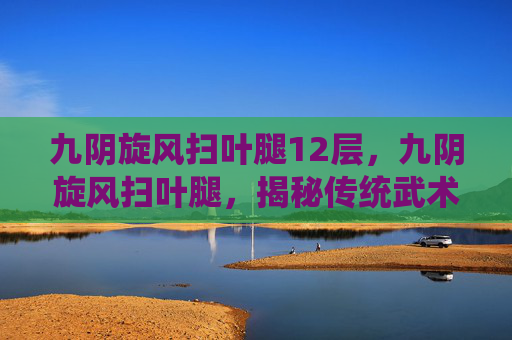 九阴旋风扫叶腿12层，九阴旋风扫叶腿，揭秘传统武术中的绝技