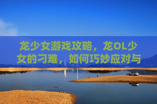 龙少女游戏攻略,龙OL少女的刁难,如何巧妙应对与成长 龙少女游戏攻略,龙OL少女的刁难,如何巧妙应对与成长