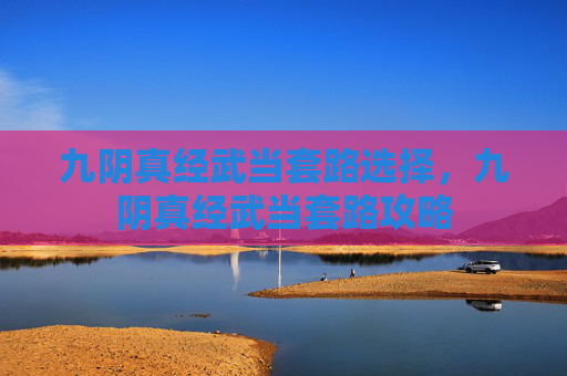 九阴真经武当套路选择，九阴真经武当套路攻略