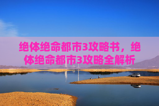绝体绝命都市3攻略书，绝体绝命都市3攻略全解析
