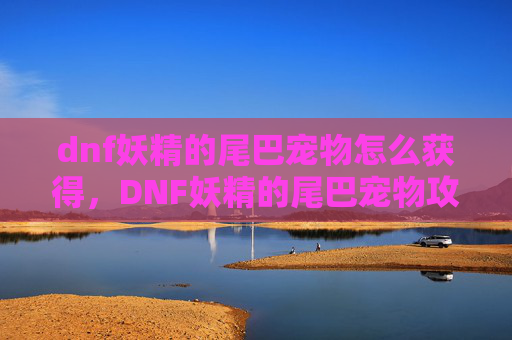 dnf妖精的尾巴宠物怎么获得,DNF妖精的尾巴宠物攻略,如何培养你的强力伙伴 dnf妖精的尾巴宠物怎么获得,DNF妖精的尾巴宠物攻略,如何培养你的强力伙伴