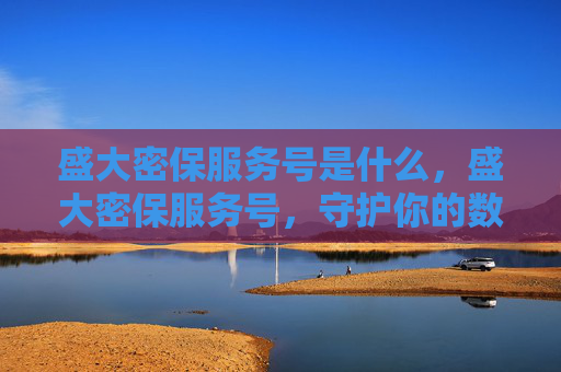盛大密保服务号是什么,盛大密保服务号,守护你的数字资产安全 盛大密保服务号是什么,盛大密保服务号,守护你的数字资产安全