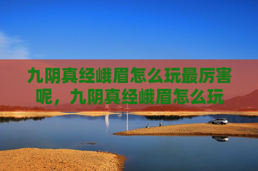 九阴真经峨眉怎么玩最厉害呢，九阴真经峨眉怎么玩
