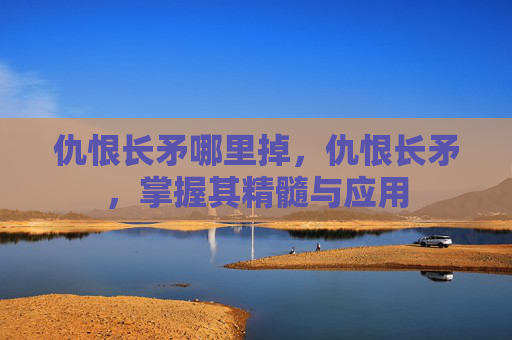 仇恨长矛哪里掉,仇恨长矛,掌握其精髓与应用 仇恨长矛哪里掉,仇恨长矛,掌握其精髓与应用