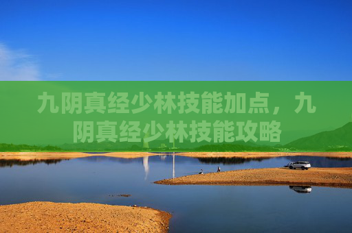 九阴真经少林技能加点，九阴真经少林技能攻略