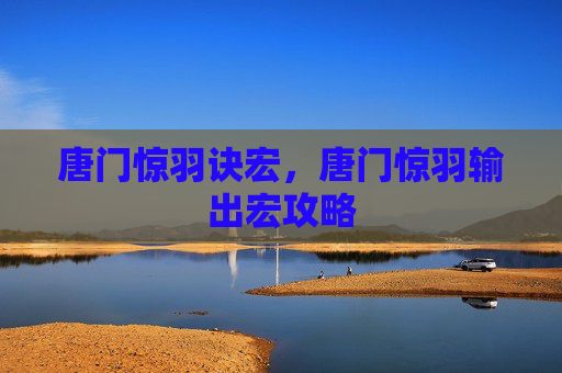 唐门惊羽诀宏，唐门惊羽输出宏攻略