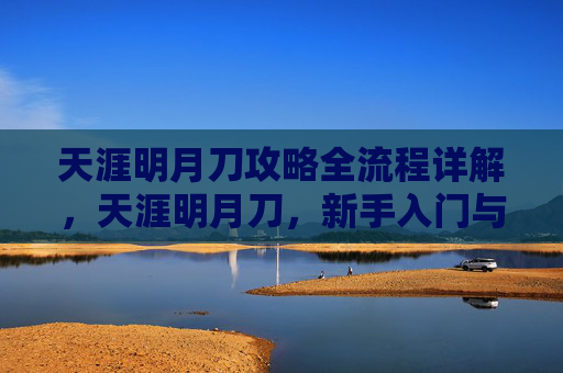 天涯明月刀攻略全流程详解，天涯明月刀，新手入门与进阶指南