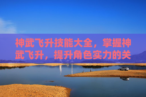 神武飞升技能大全,掌握神武飞升,提升角色实力的关键技能攻略 神武飞升技能大全,掌握神武飞升,提升角色实力的关键技能攻略