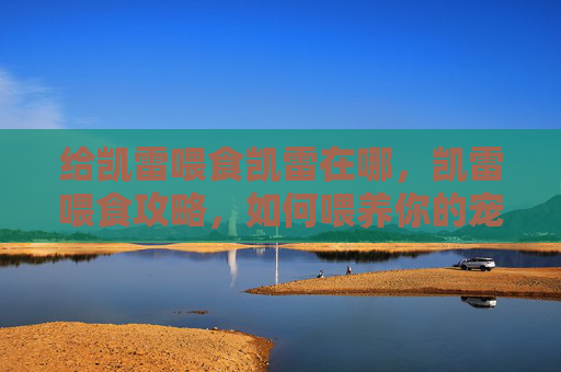 给凯雷喂食凯雷在哪，凯雷喂食攻略，如何喂养你的宠物凯雷