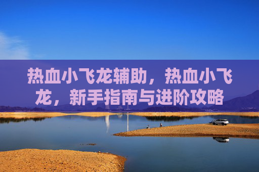 热血小飞龙辅助，热血小飞龙，新手指南与进阶攻略