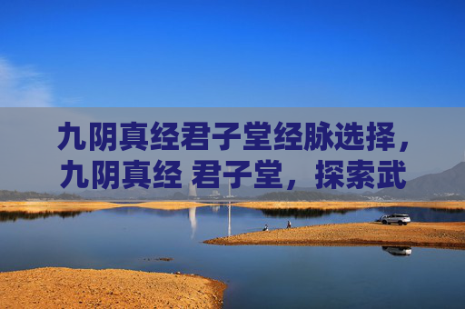 九阴真经君子堂经脉选择，九阴真经 君子堂，探索武侠世界中的隐秘之地