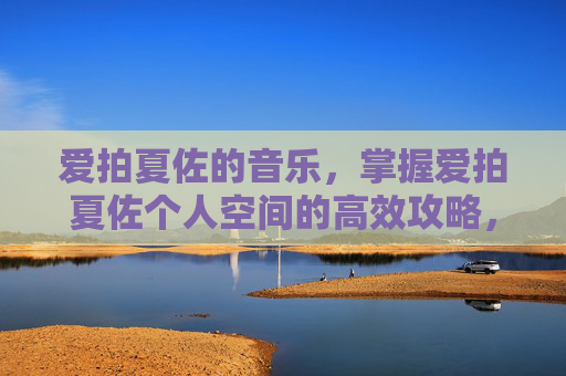 爱拍夏佐的音乐，掌握爱拍夏佐个人空间的高效攻略，让你成为游戏高手