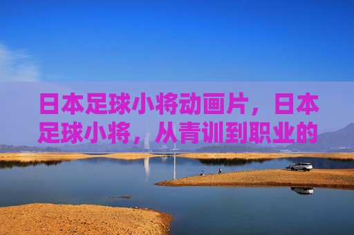 日本足球小将动画片,日本足球小将,从青训到职业的崛起之路 日本足球小将动画片,日本足球小将,从青训到职业的崛起之路
