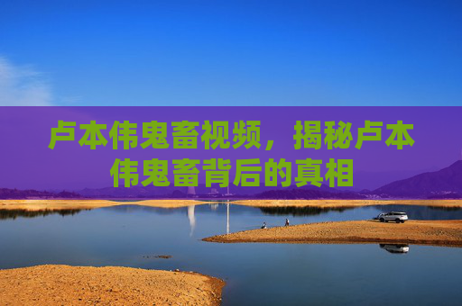 卢本伟鬼畜视频，揭秘卢本伟鬼畜背后的真相