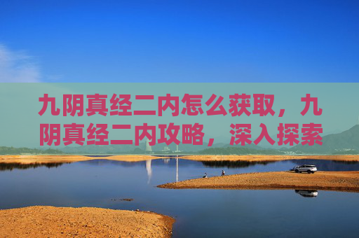 九阴真经二内怎么获取，九阴真经二内攻略，深入探索与技巧分享
