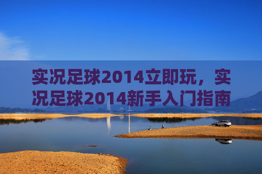 实况足球2014立即玩，实况足球2014新手入门指南，从零开始的足球之旅