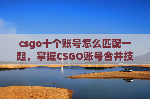 csgo十个账号怎么匹配一起，掌握CSGO账号合并技巧，轻松升级你的游戏装备