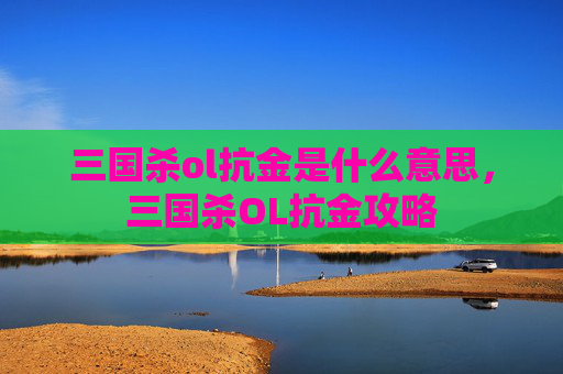 三国杀ol抗金是什么意思，三国杀OL抗金攻略