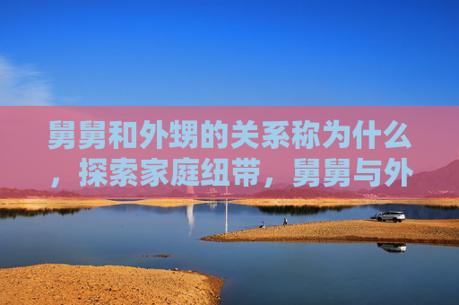 舅舅和外甥的关系称为什么，探索家庭纽带，舅舅与外甥之间的微妙关系