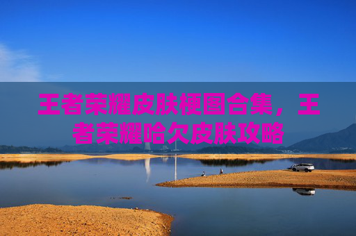 王者荣耀皮肤梗图合集，王者荣耀哈欠皮肤攻略