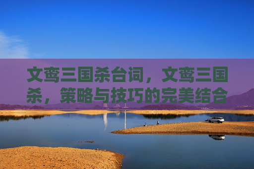 文鸾三国杀台词，文鸾三国杀，策略与技巧的完美结合