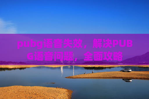 pubg语音失效，解决PUBG语音问题，全面攻略