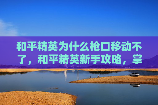 和平精英为什么枪口移动不了，和平精英新手攻略，掌握射击技巧，让你的子弹用得恰到好处