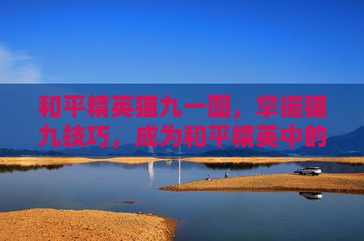 和平精英猫九一图，掌握猫九技巧，成为和平精英中的猫神玩家