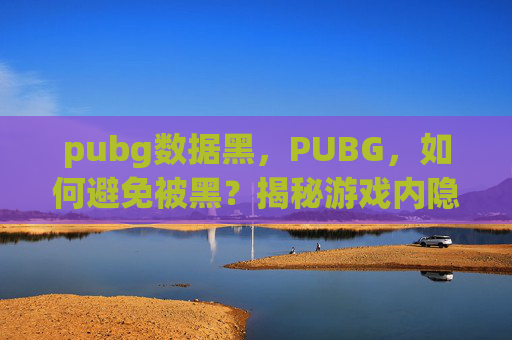 pubg数据黑，PUBG，如何避免被黑？揭秘游戏内隐藏技巧与策略