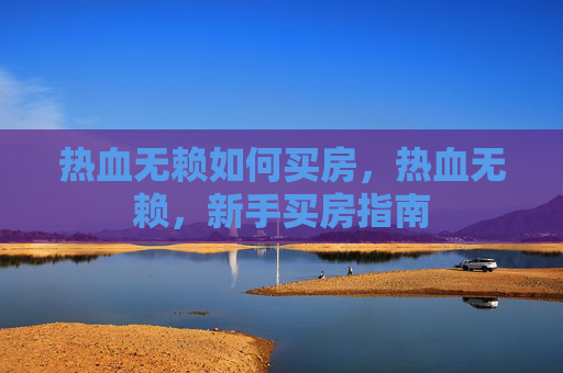 热血无赖如何买房，热血无赖，新手买房指南