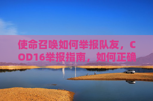 使命召唤如何举报队友，COD16举报指南，如何正确处理游戏中的不当行为