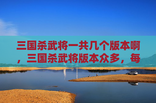三国杀武将一共几个版本啊，三国杀武将版本众多，每个版本都有其独特的设定和特点。以下是对三国杀武将版本的简要介绍