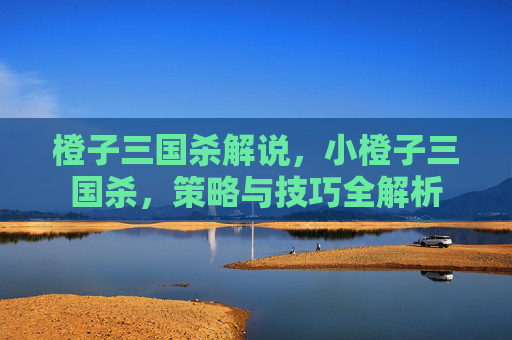 橙子三国杀解说，小橙子三国杀，策略与技巧全解析