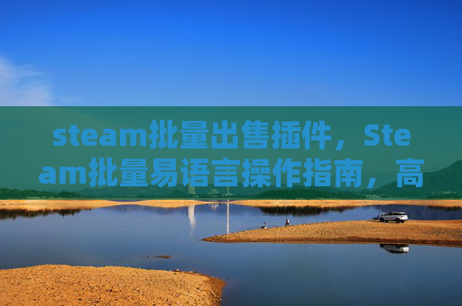 steam批量出售插件，Steam批量易语言操作指南，高效管理游戏库