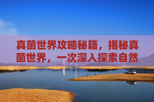 真菌世界攻略秘籍,揭秘真菌世界,一次深入探索自然奥秘的旅程 真菌世界攻略秘籍,揭秘真菌世界,一次深入探索自然奥秘的旅程