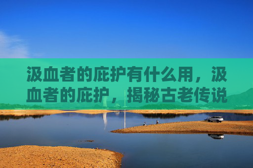 汲血者的庇护有什么用，汲血者的庇护，揭秘古老传说与现代魔法的结合
