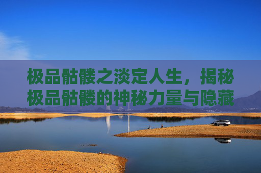 极品骷髅之淡定人生,揭秘极品骷髅的神秘力量与隐藏技巧 极品骷髅之淡定人生,揭秘极品骷髅的神秘力量与隐藏技巧