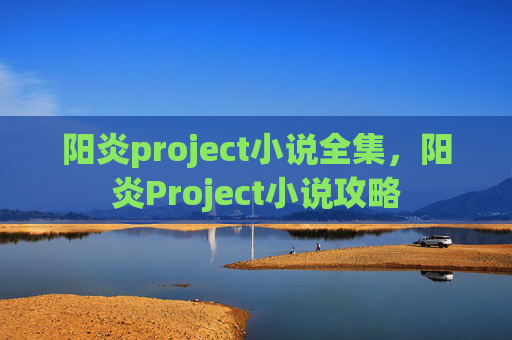 阳炎project小说全集，阳炎Project小说攻略