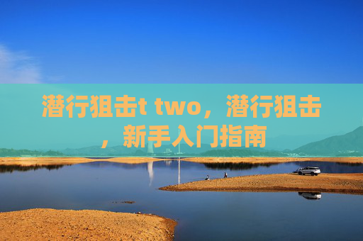 潜行狙击t two，潜行狙击，新手入门指南