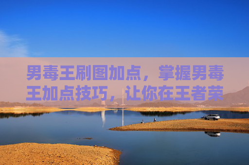 男毒王刷图加点，掌握男毒王加点技巧，让你在王者荣耀中成为真正的毒王！