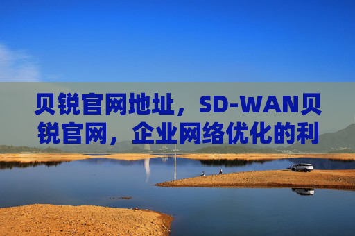 贝锐官网地址,SD-WAN贝锐官网,企业网络优化的利器 贝锐官网地址,SD-WAN贝锐官网,企业网络优化的利器