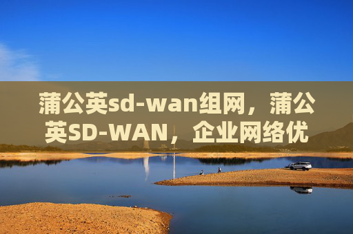 蒲公英sd-wan组网，蒲公英SD-WAN，企业网络优化的利器