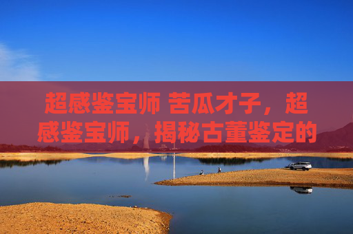 超感鉴宝师 苦瓜才子,超感鉴宝师,揭秘古董鉴定的神秘力量 超感鉴宝师 苦瓜才子,超感鉴宝师,揭秘古董鉴定的神秘力量
