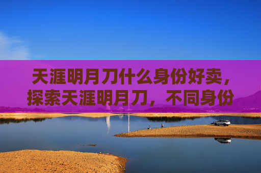 天涯明月刀什么身份好卖，探索天涯明月刀，不同身份的优劣势分析