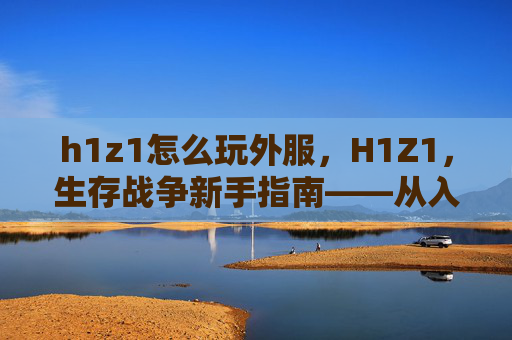 h1z1怎么玩外服,H1Z1,生存战争新手指南——从入门到精通 h1z1怎么玩外服,H1Z1,生存战争新手指南——从入门到精通