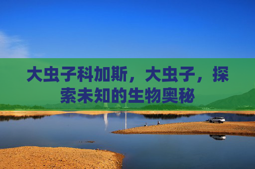 大虫子科加斯，大虫子，探索未知的生物奥秘