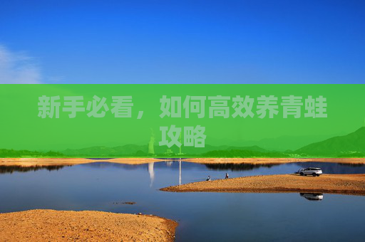 新手必看，如何高效养青蛙攻略